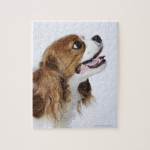 Cavalier King Charles Spaniel, Seitenansicht Puzzle