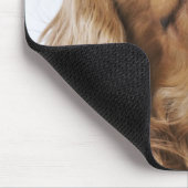 Cavalier King Charles Spaniel sieht nach oben Mousepad (Ecke)