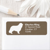 Cavalier King Charles Spaniel Silhouette (Insitu)