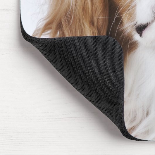 Cavalier King Charles Spaniel sitzt im Studio Mousepad (Ecke)