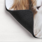 Cavalier King Charles Spaniel sitzt im Studio Mousepad (Ecke)