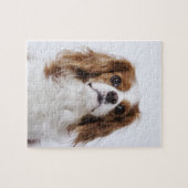 Cavalier King Charles Spaniel sitzt im Studio Puzzle (Horizontal)