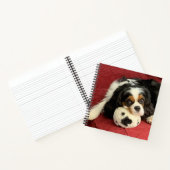 Cavalier King Charles Spaniel Small Notebook Notizblock (Innenseite)