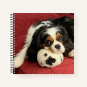 Cavalier King Charles Spaniel Small Notebook Notizblock (Vorderseite)