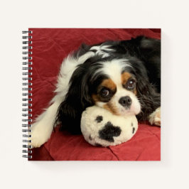 Cavalier King Charles Spaniel Small Notebook Notizblock