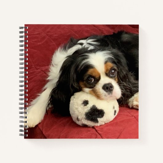 Cavalier King Charles Spaniel Small Notebook Notizblock (Vorderseite)