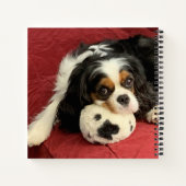 Cavalier King Charles Spaniel Small Notebook Notizblock (Rückseite)