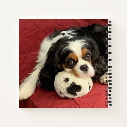 Cavalier King Charles Spaniel Small Notebook Notizblock (Rückseite)