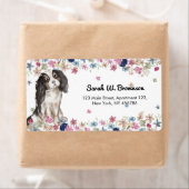 Cavalier King Charles Spaniel Small Size Dog (Insitu)