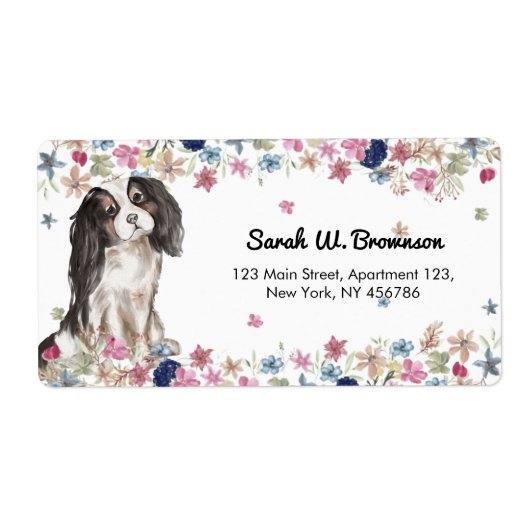 Cavalier King Charles Spaniel Small Size Dog (Vorne)