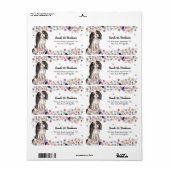 Cavalier King Charles Spaniel Small Size Dog (Vorne)