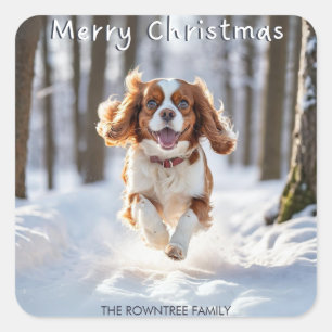 Cavalier King Charles Spaniel Snow Frohe Weihnacht Quadratischer Aufkleber