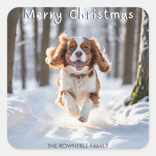 Cavalier King Charles Spaniel Snow Frohe Weihnacht Quadratischer Aufkleber (Vorderseite)