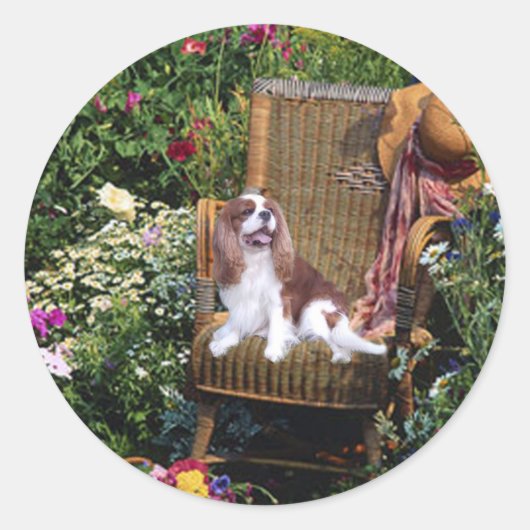Cavalier King Charles Spaniel Sticker (Vorderseite)