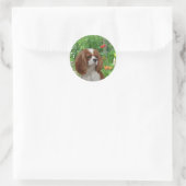 Cavalier King Charles Spaniel Sticker (Tasche)