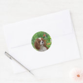 Cavalier King Charles Spaniel Sticker (Umschlag)