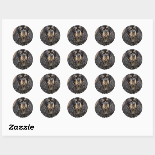 Cavalier King Charles Spaniel Stickers (Blatt)