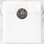 Cavalier King Charles Spaniel Stickers (Tasche)