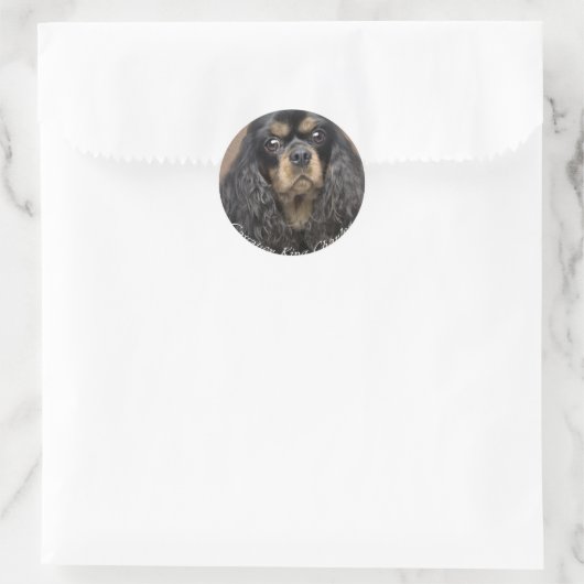 Cavalier King Charles Spaniel Stickers (Tasche)