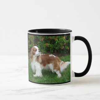 Cavalier King Charles Spaniel Tasse