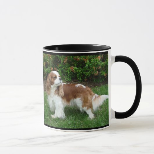 Cavalier King Charles Spaniel Tasse (Rechts)