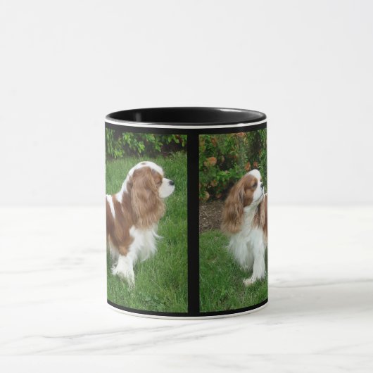Cavalier King Charles Spaniel Tasse (Zentrum)