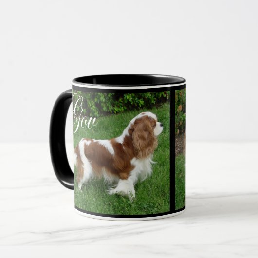 Cavalier King Charles Spaniel Tasse (Vorderseite Links)