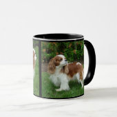 Cavalier King Charles Spaniel Tasse (VorderseiteRechts)