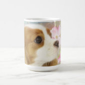 Cavalier King Charles Spaniel Tasse mit Frühlingsb (Mittel)