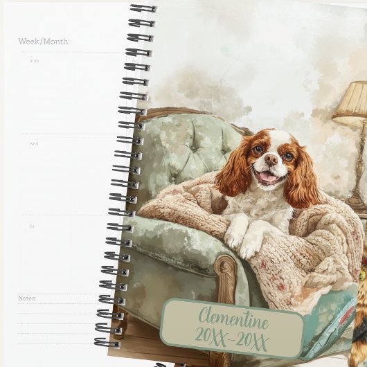 Cavalier King Charles Spaniel Terminanfrage  Planer