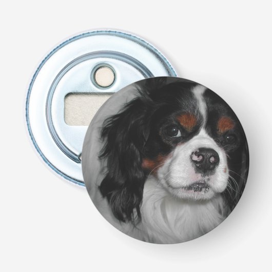 cavalier king charles spaniel tri flaschenöffner (Vorderseite)