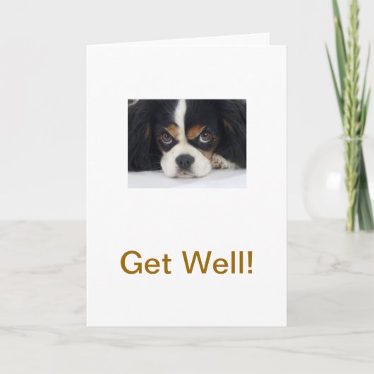 Cavalier King Charles Spaniel Tri Get Well Card Karte (Vorderseite)