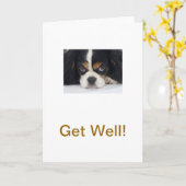 Cavalier King Charles Spaniel Tri Get Well Card Karte (Gelbe Blume)