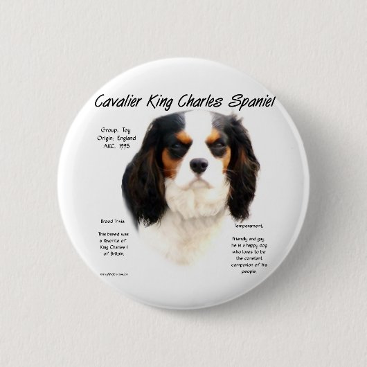 Cavalier King Charles Spaniel (Tricolor) Geschicht Button (Vorderseite)
