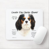 Cavalier King Charles Spaniel (Tricolor) Geschicht Mousepad (Mit Mouse)