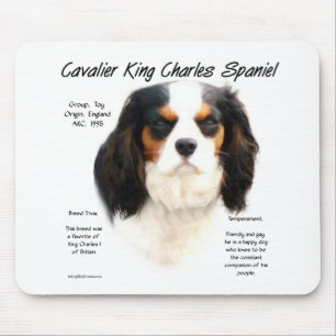 Cavalier King Charles Spaniel (Tricolor) Geschicht Mousepad