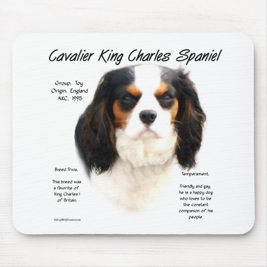 Cavalier King Charles Spaniel (Tricolor) Geschicht Mousepad (Vorne)