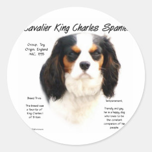 Cavalier King Charles Spaniel (Tricolor) Geschicht Runder Aufkleber