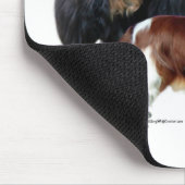 Cavalier King Charles Spaniel Trio 2 Mousepad (Ecke)