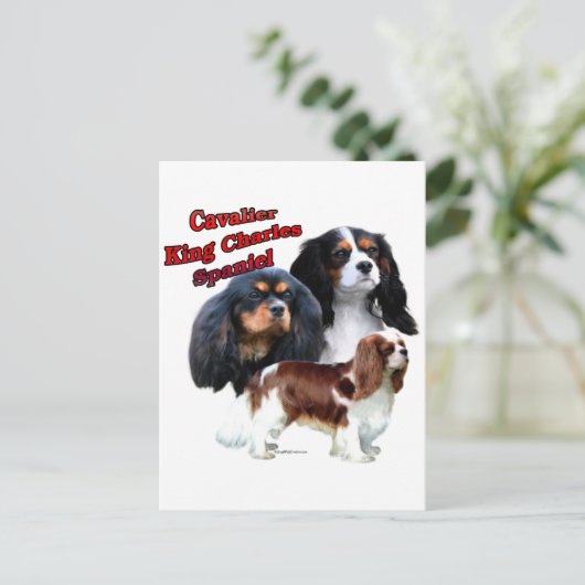 Cavalier King Charles Spaniel Trio 2 Postkarte (Stehend Vorderseite)