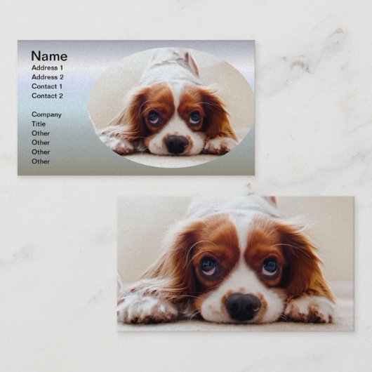 Cavalier King Charles Spaniel Visitenkarte (Vorne/Hinten)