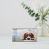 Cavalier King Charles Spaniel Visitenkarte (Stehend Vorderseite)