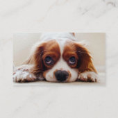 Cavalier King Charles Spaniel Visitenkarte (Rückseite)