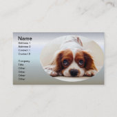 Cavalier King Charles Spaniel Visitenkarte (Vorderseite)