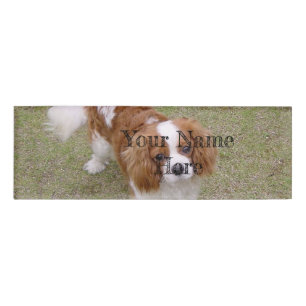 Cavalier-king-charles-spaniel vollständig namenschild