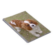 Cavalier-king-charles-spaniel vollständig notizblock (Rechte Seite)