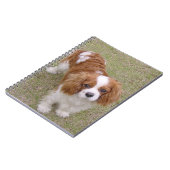 Cavalier-king-charles-spaniel vollständig notizblock (Linke Seite)