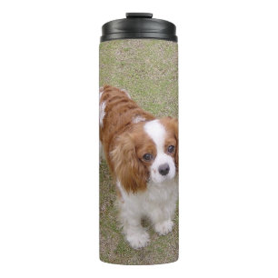 Cavalier-king-charles-spaniel vollständig thermosbecher