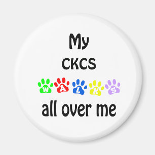 Cavalier King Charles Spaniel Walks Design Magnet