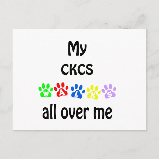 Cavalier King Charles Spaniel Walks Design Postkarte (Vorderseite)